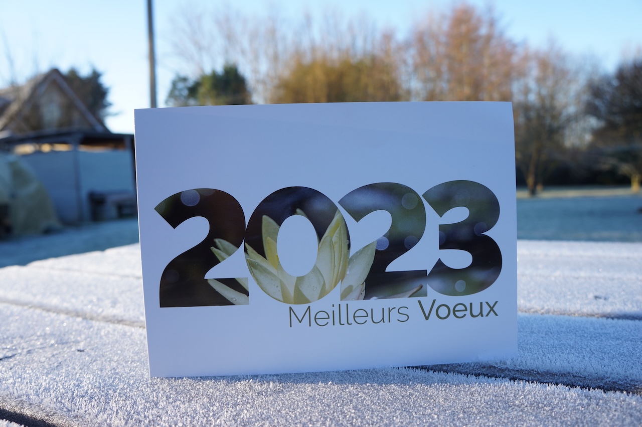 Carte Meilleurs Vœux 2023 sur neige